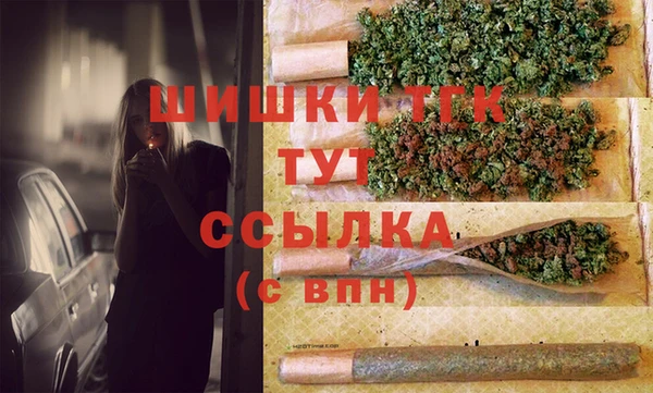 сатива Алзамай