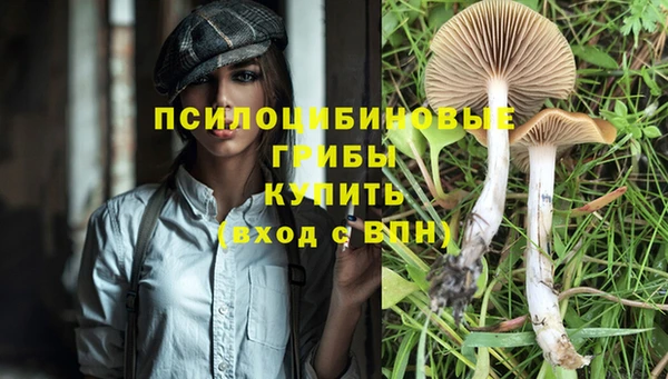 сатива Алзамай