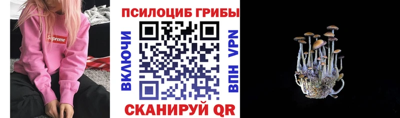 Галлюциногенные грибы мухоморы  Балашов 